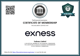 Understanding Exness Account Types A Comprehensive Guide