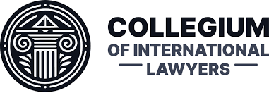 Understanding Legal Protections Against Interpol Errors 362340141 Understanding Legal Protections Against Interpol Errors 362340141